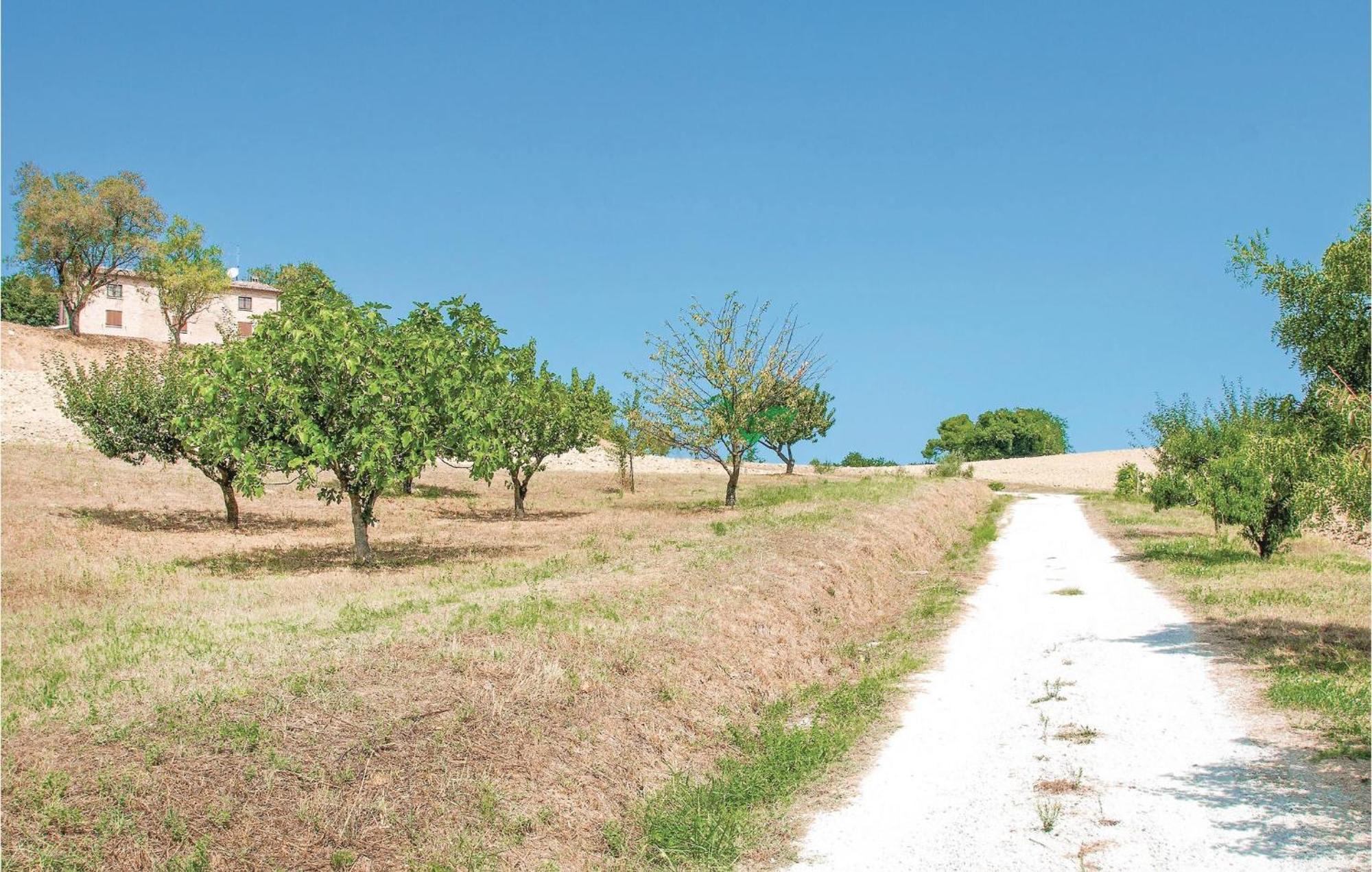 Strada Dei Condotti Πέζαρο Εξωτερικό φωτογραφία